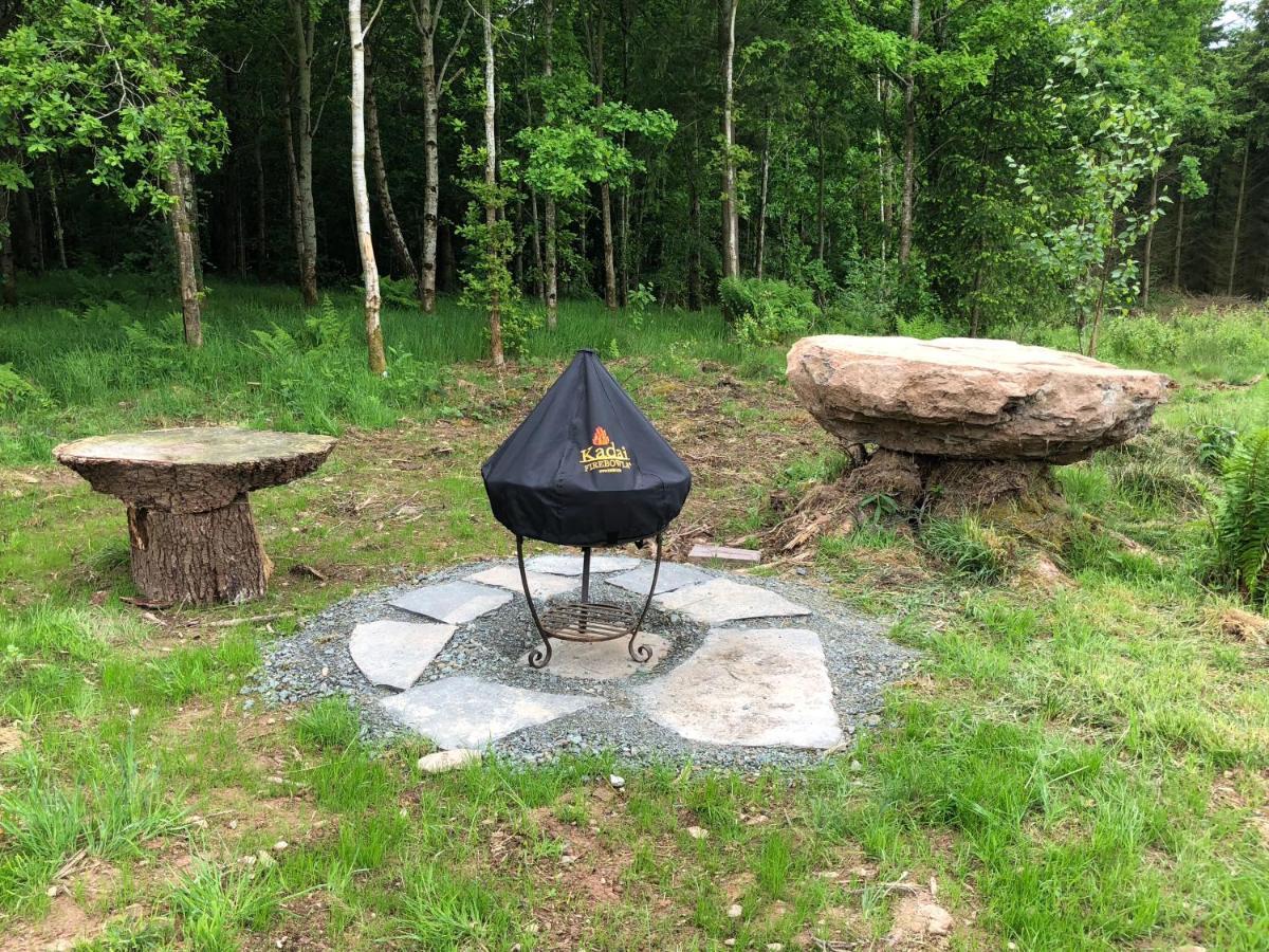 فيلا Coed Y Marchog Woodland Retreat هيريفورد المظهر الخارجي الصورة