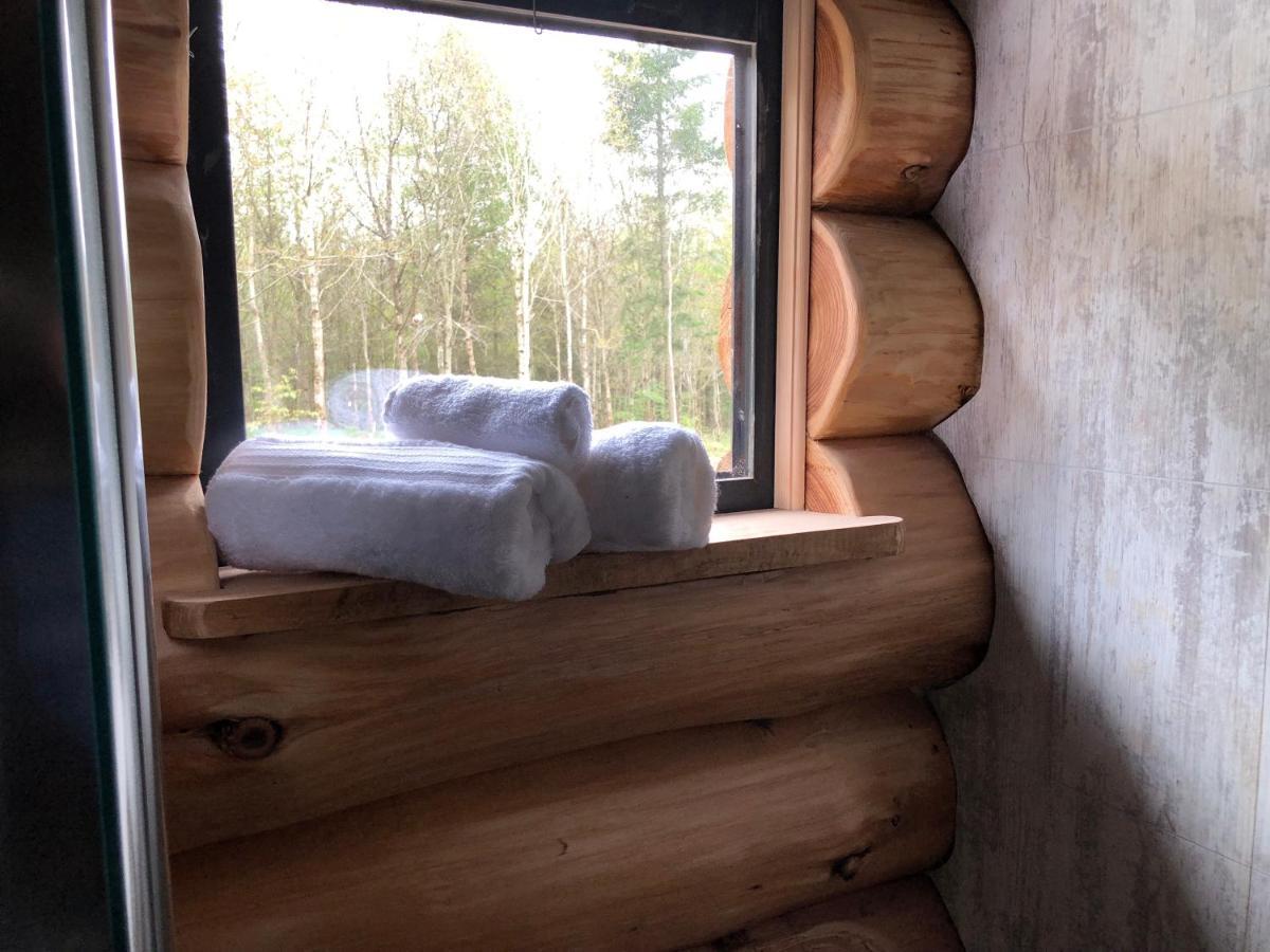 فيلا Coed Y Marchog Woodland Retreat هيريفورد المظهر الخارجي الصورة