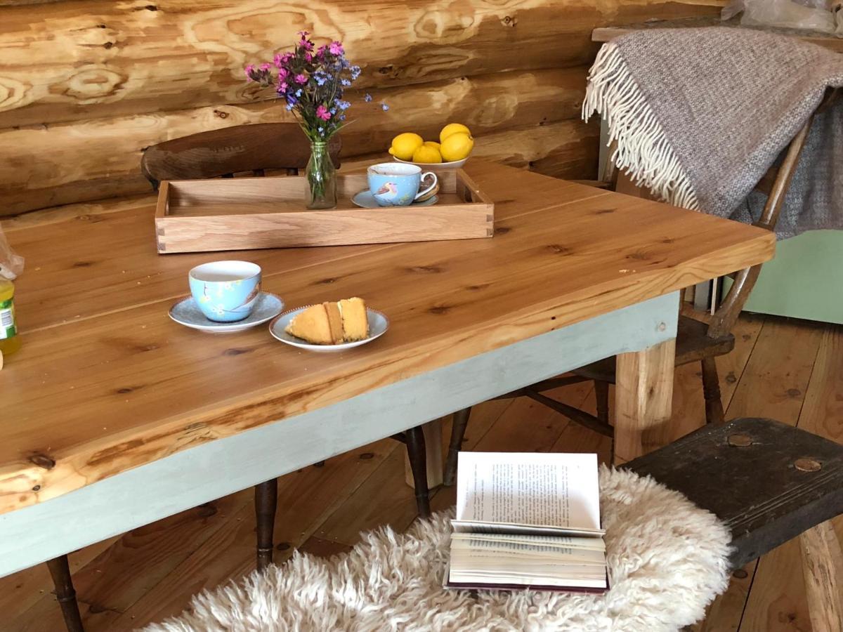 فيلا Coed Y Marchog Woodland Retreat هيريفورد المظهر الخارجي الصورة