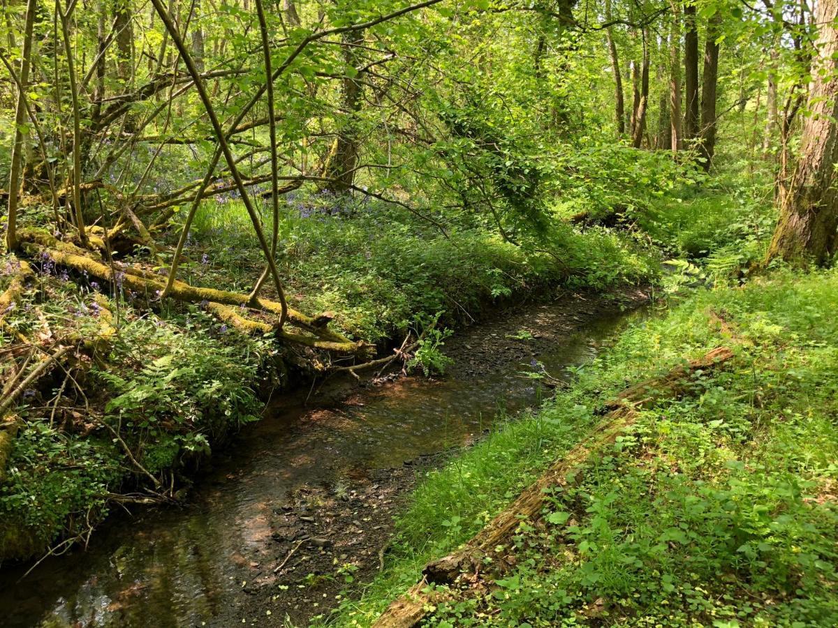 فيلا Coed Y Marchog Woodland Retreat هيريفورد المظهر الخارجي الصورة