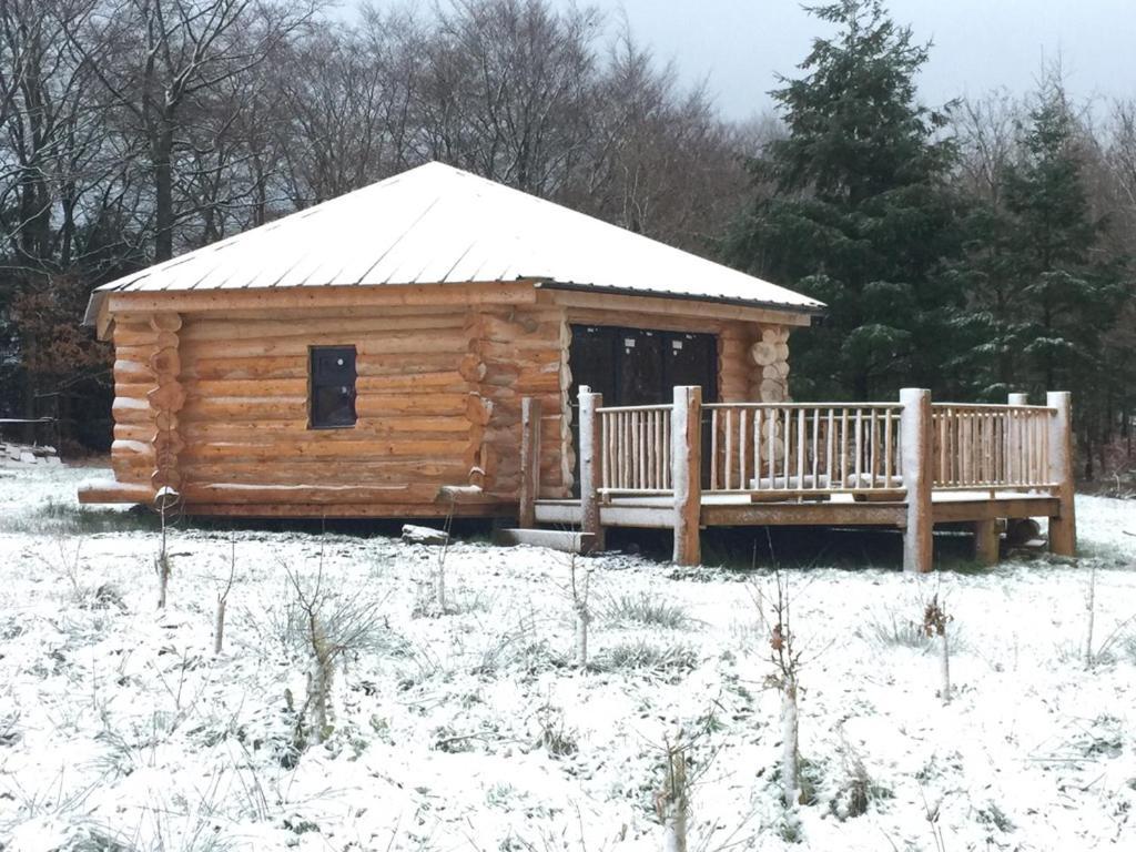 فيلا Coed Y Marchog Woodland Retreat هيريفورد المظهر الخارجي الصورة