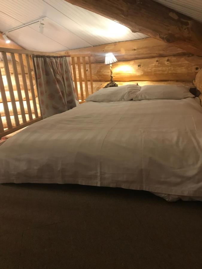 فيلا Coed Y Marchog Woodland Retreat هيريفورد المظهر الخارجي الصورة